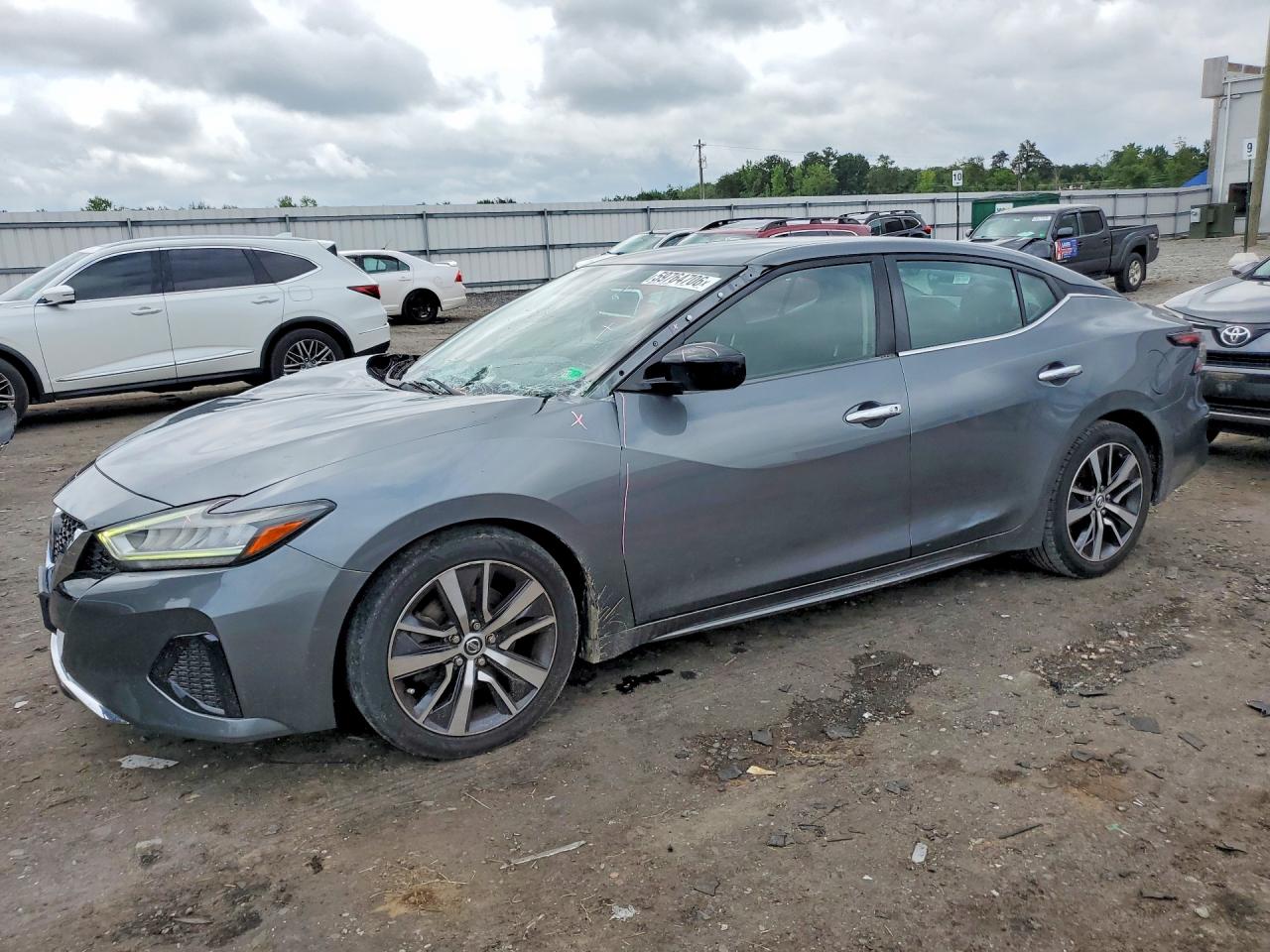 1N4AA6AV8KC381893 · 2019 NISSAN MAXIMA