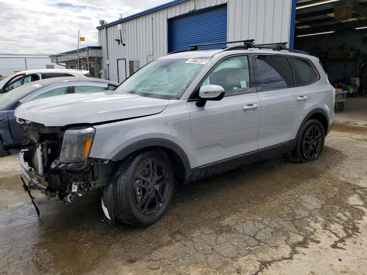 5XYP3DGC8SG711648 · 2025 KIA TELLURIDE