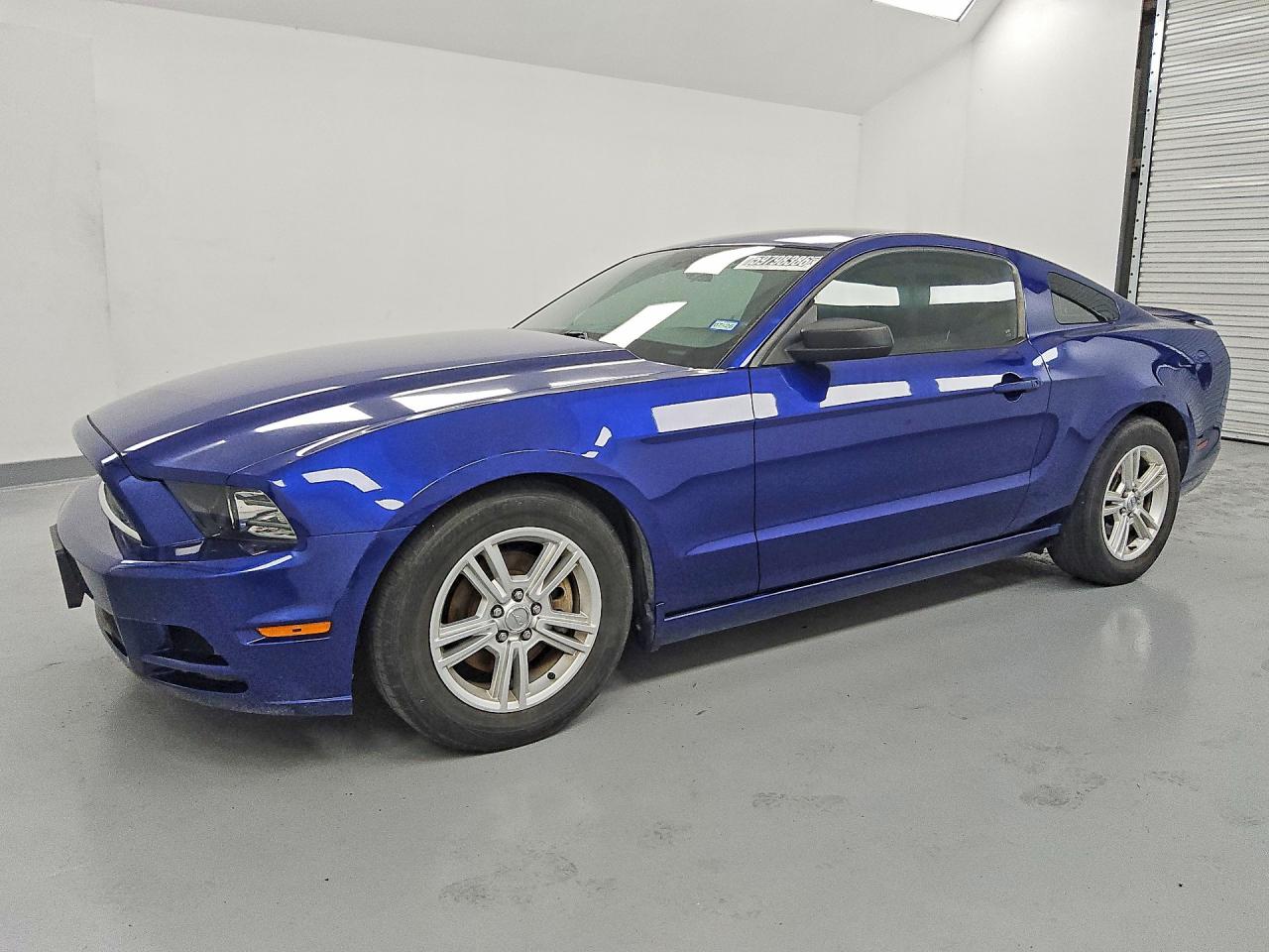 1ZVBP8AM9D5281824 · 2013 FORD MUSTANG