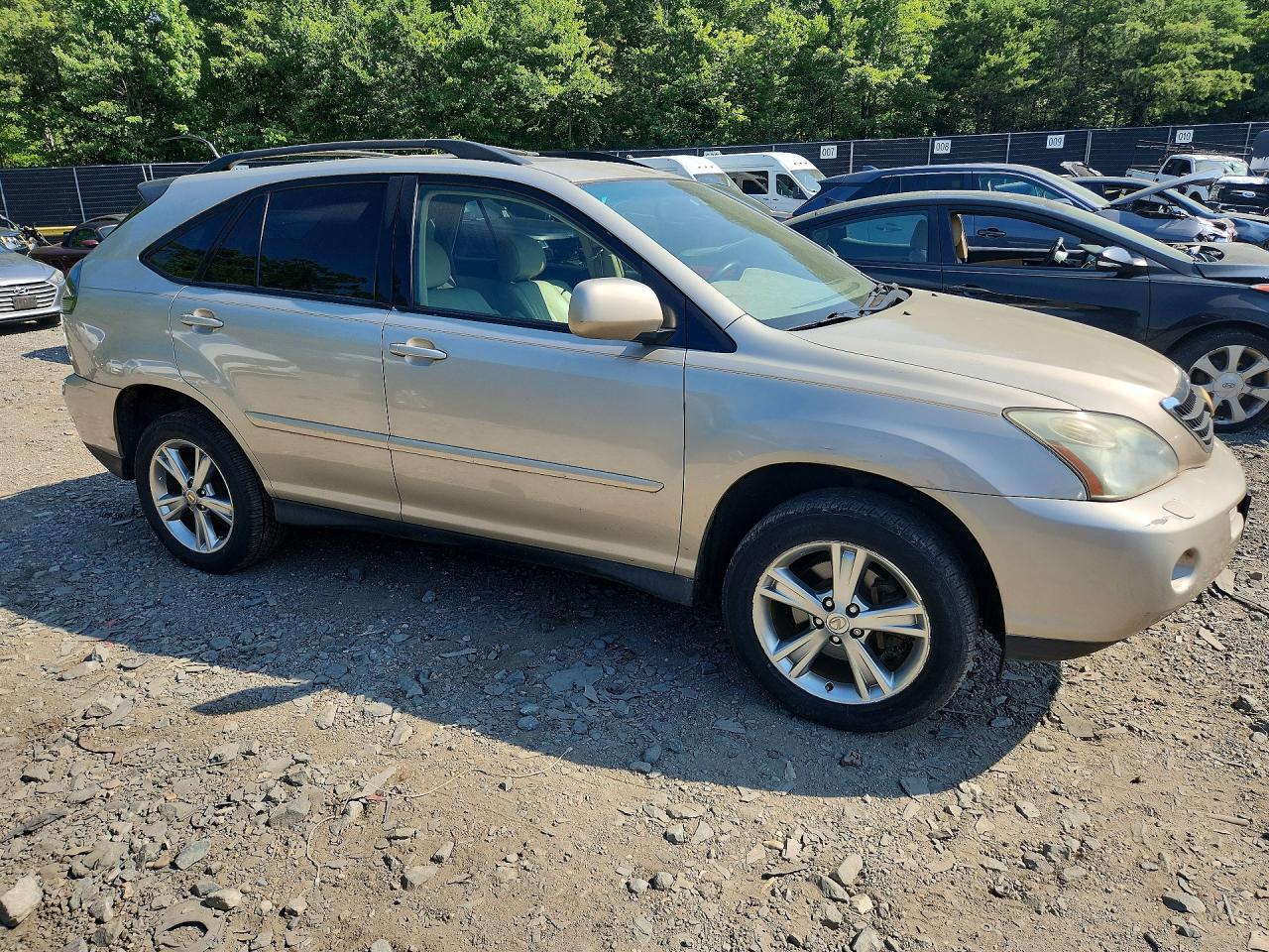 JTJHW31U460030452 · 2006 LEXUS RX · 4/13