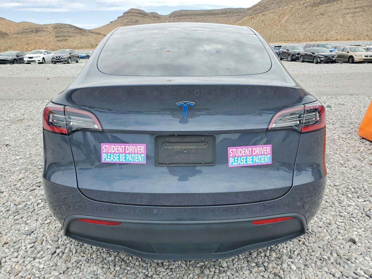 5YJYGDEFXLF002556 · 2020 TESLA MODEL Y · 6/13