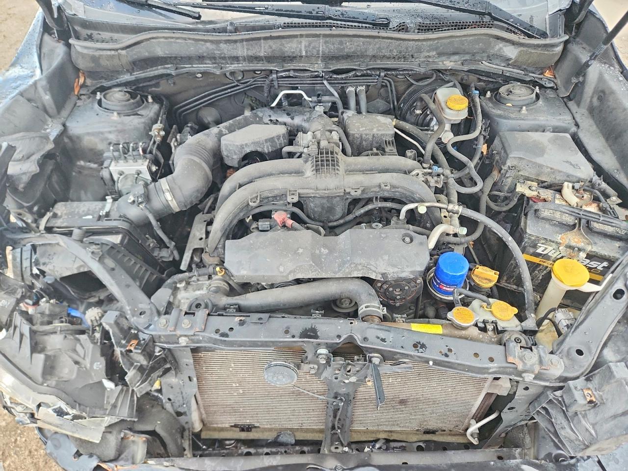JF2SJAEC9HH482495 · 2017 SUBARU FORESTER · 12/14