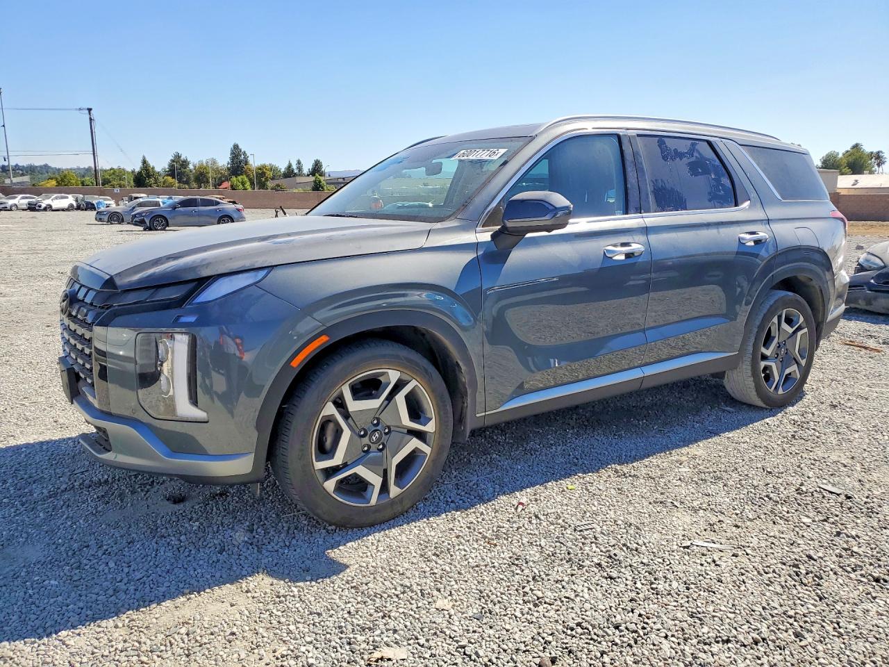 KM8R44GE0SU896019 · 2025 HYUNDAI PALISADE