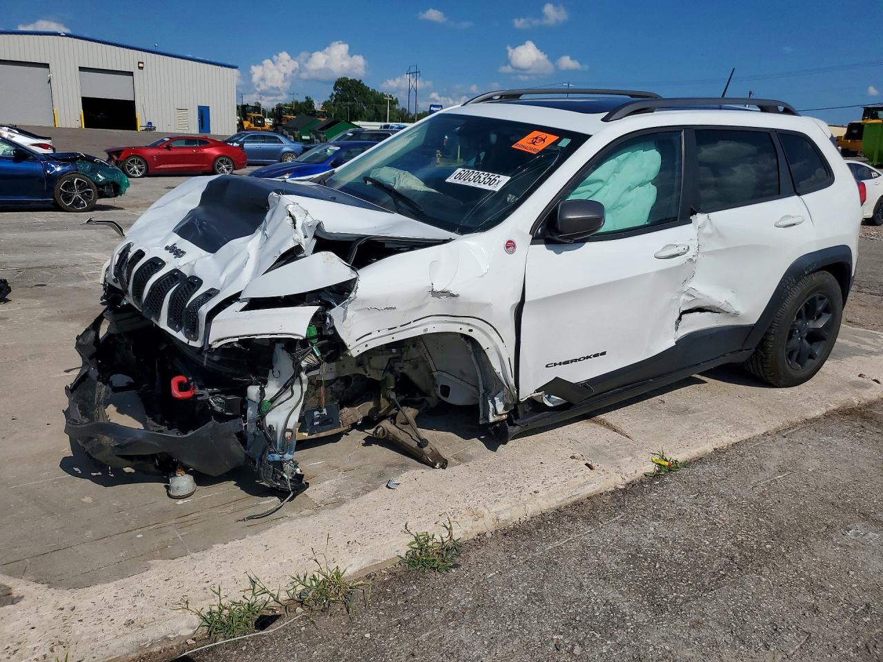 1C4PJMBS5HW563460 · 2017 JEEP CHEROKEE