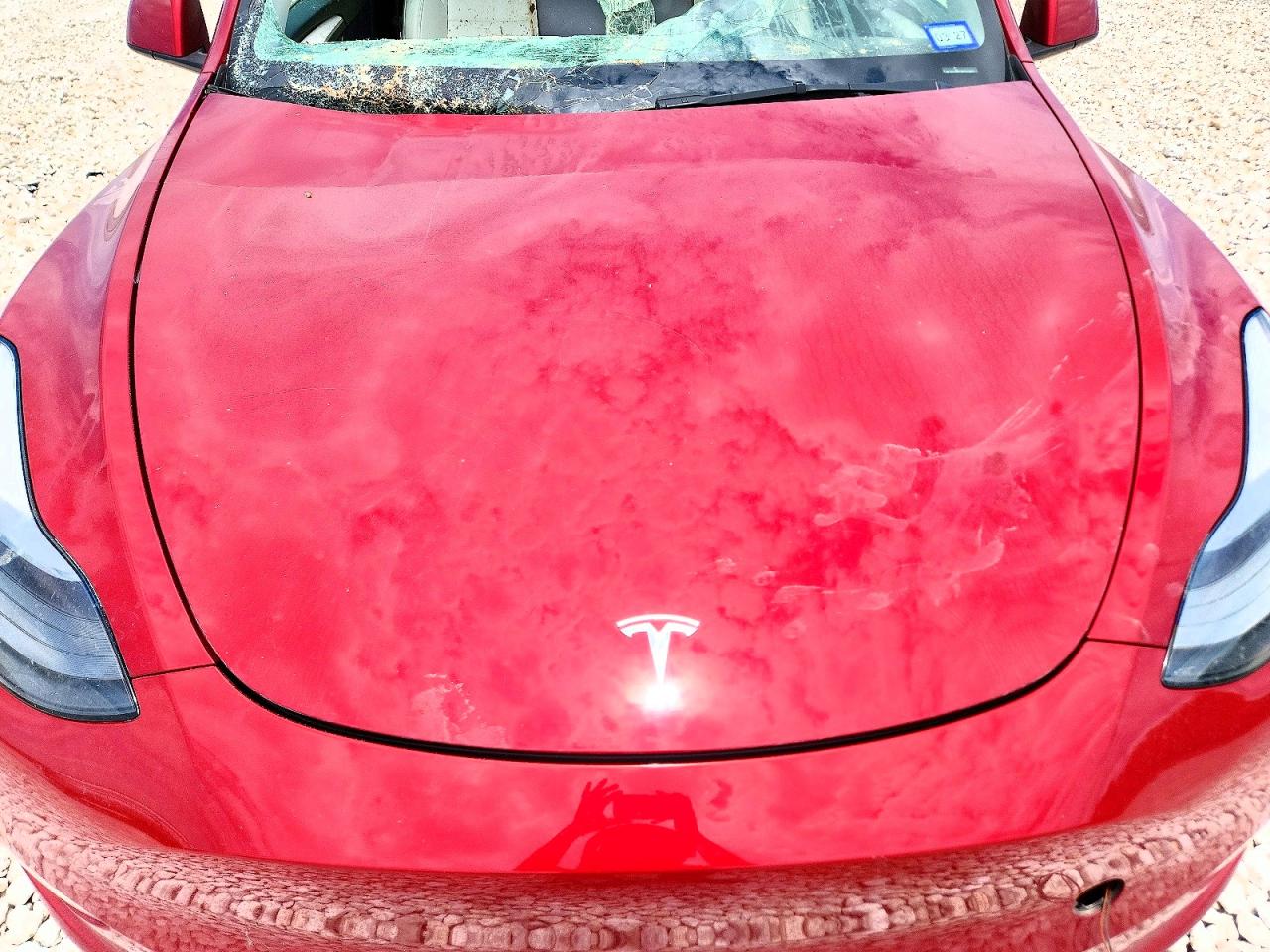 7SAYGDED3RF024862 · 2024 TESLA MODEL Y · 11/12