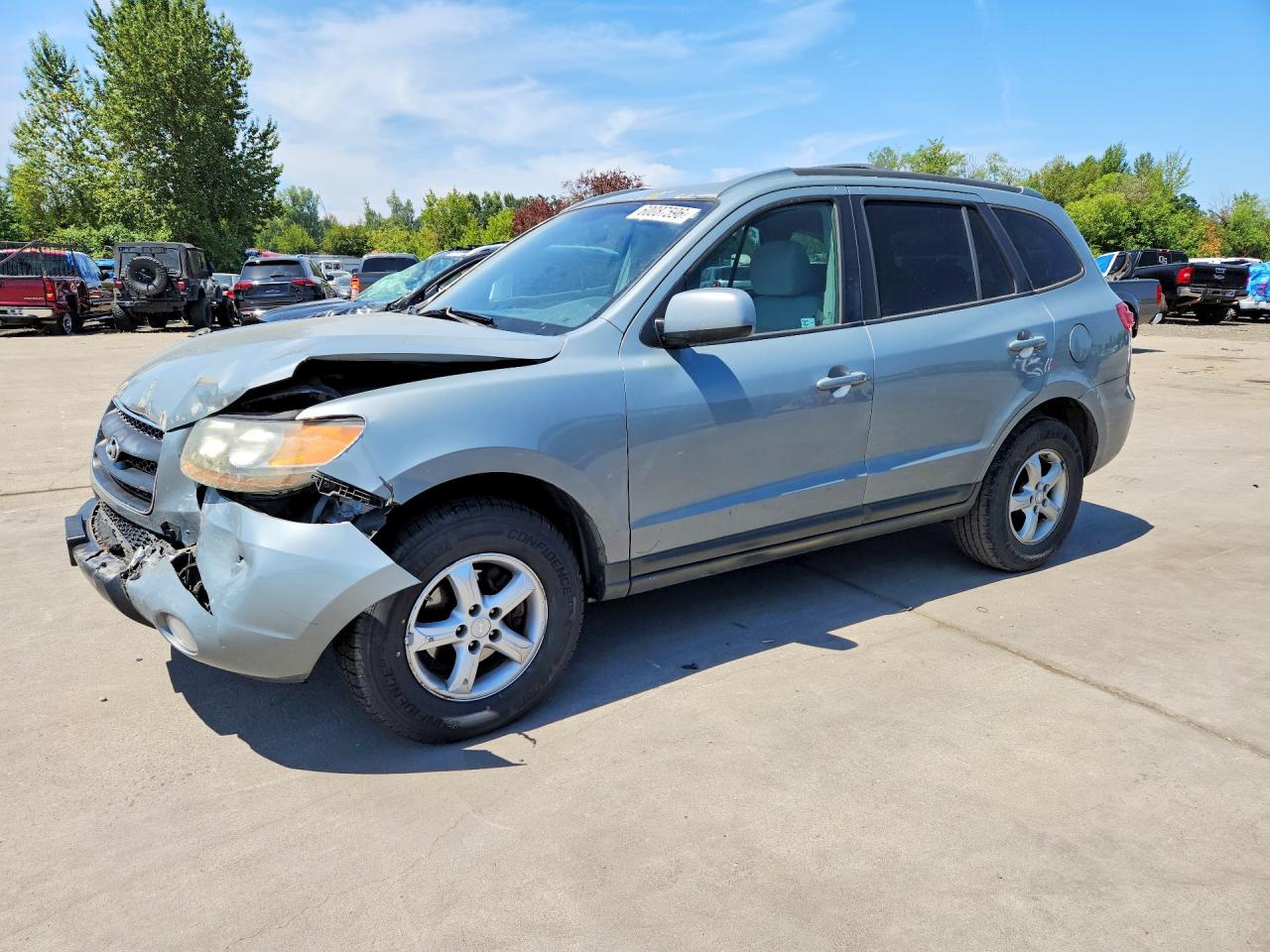 5NMSG13D87H041446 · 2007 HYUNDAI SANTA FE
