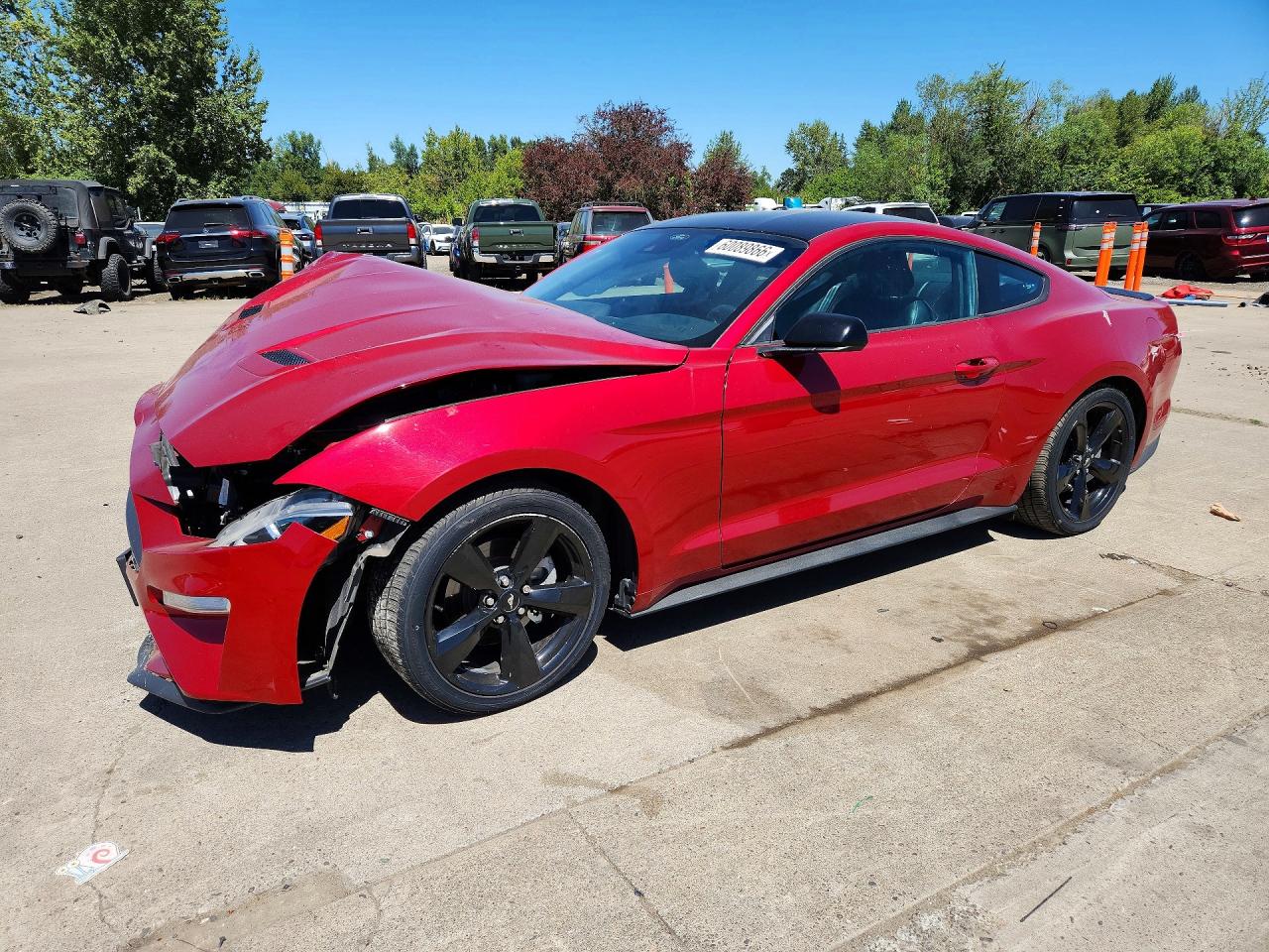 1FA6P8TH7M5126246 · 2021 FORD MUSTANG