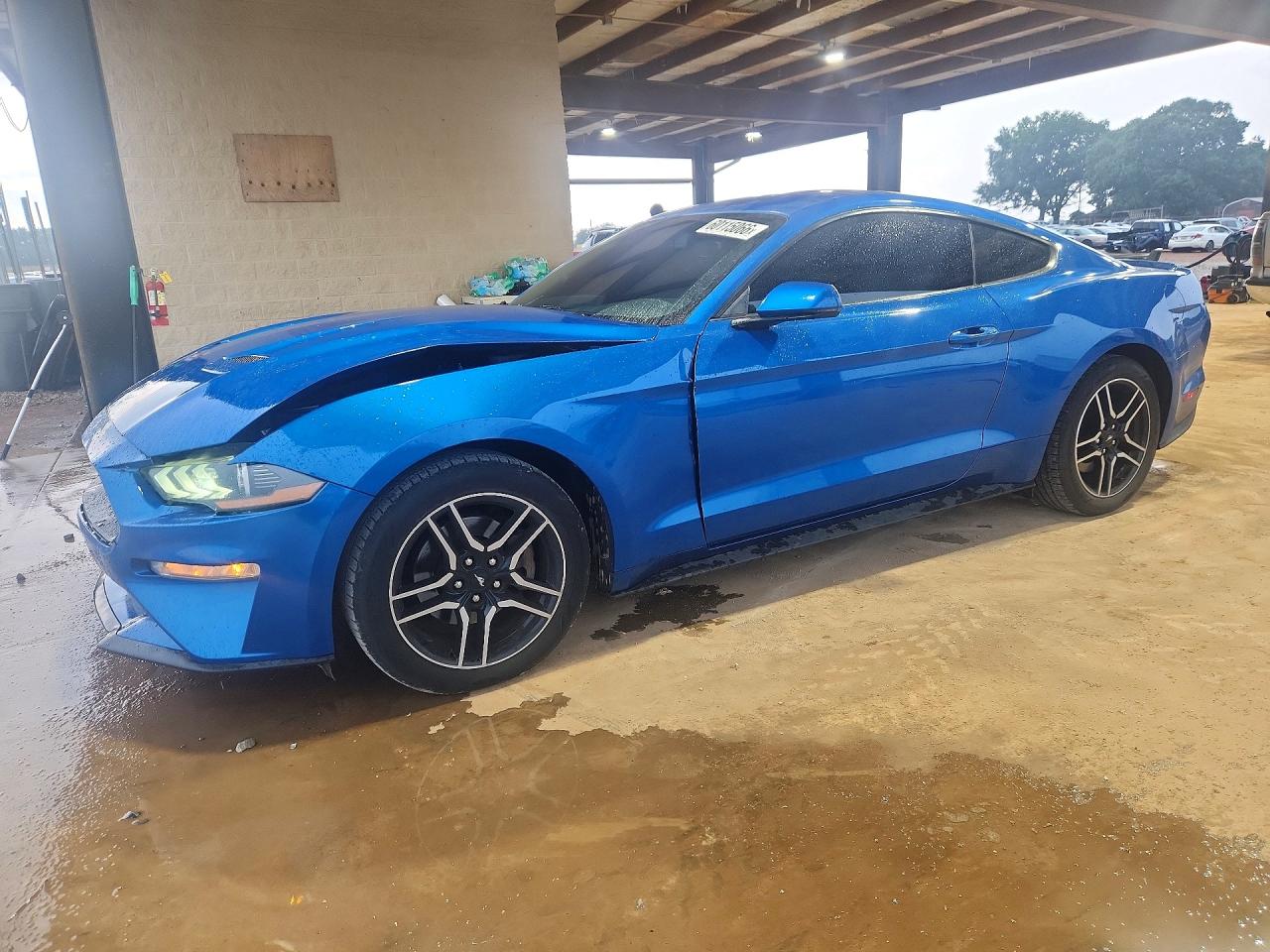 1FA6P8TH6K5195569 · 2019 FORD MUSTANG
