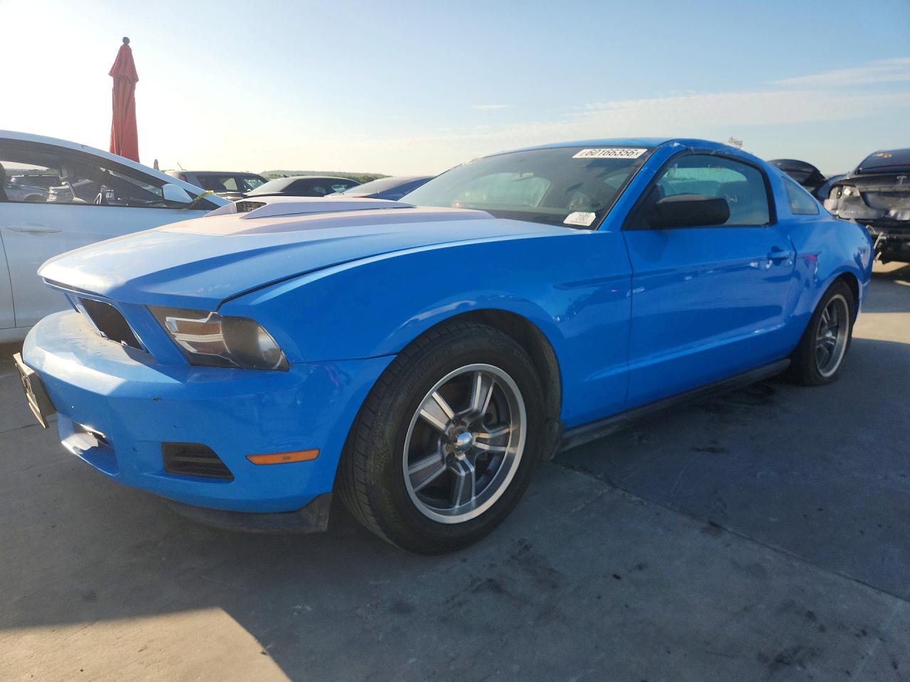 1ZVBP8AM7B5126282 · 2011 FORD MUSTANG