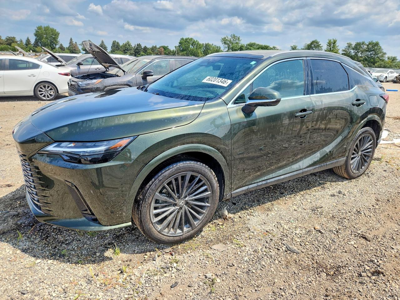 2T2BAMCA0SC109449 · 2025 LEXUS RX 350