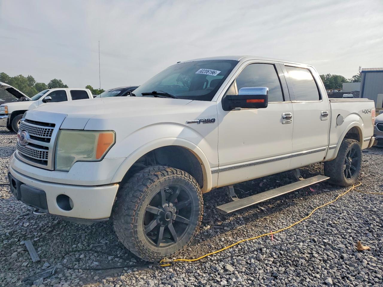 1FTFW1EV0AFB37134 · 2010 FORD F150