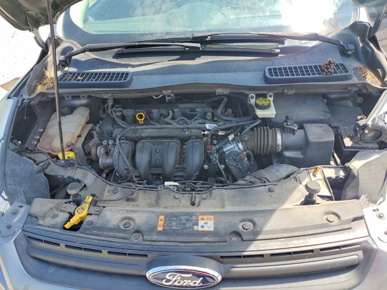 1FMCU0F71EUB20990 · 2014 FORD ESCAPE · 12/13