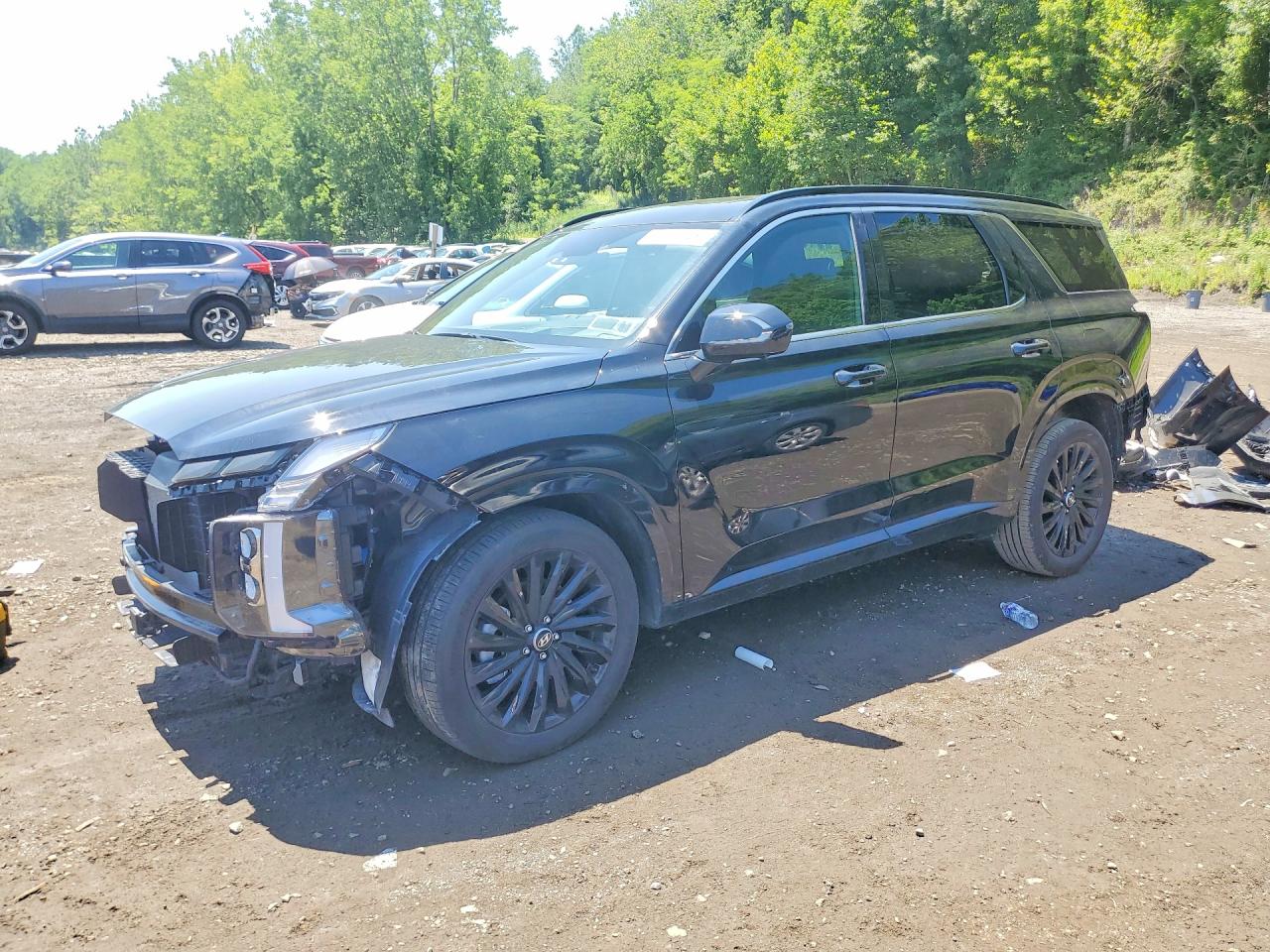 KM8R7DGE2SU925978 · 2025 HYUNDAI PALISADE