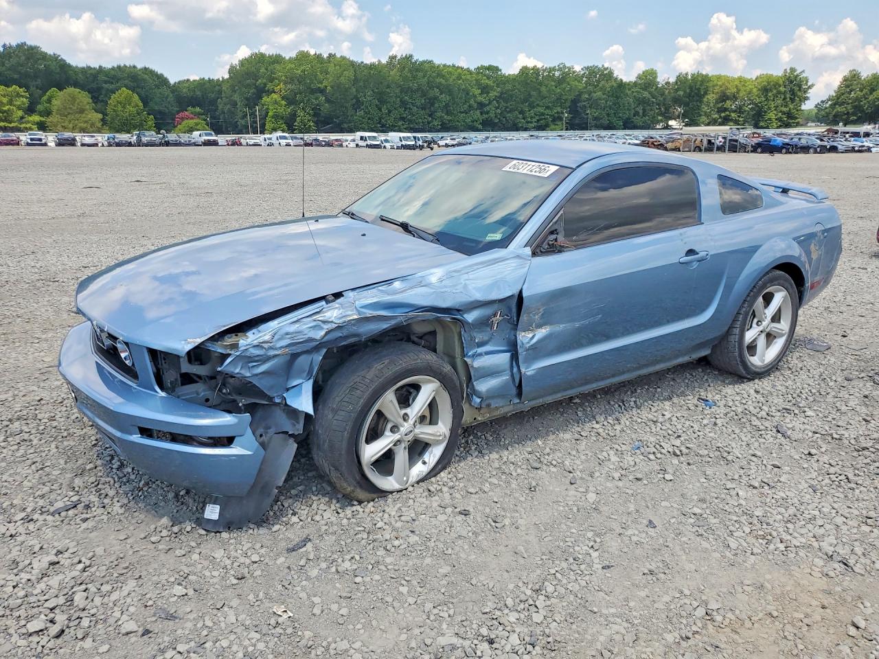 1ZVHT80N265145151 · 2006 FORD MUSTANG