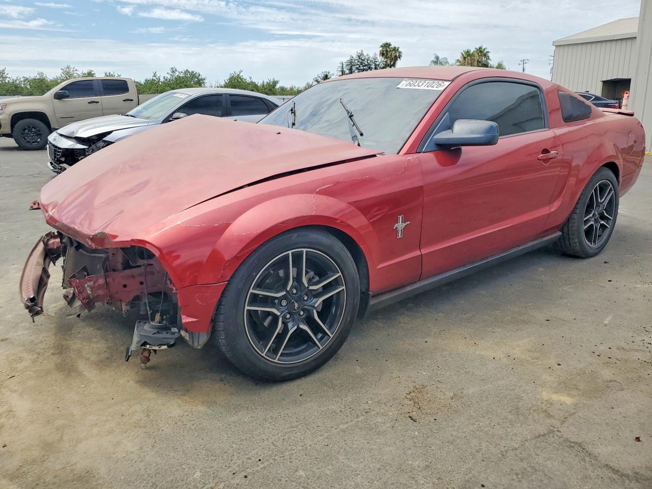 1ZVHT80N985116913 · 2008 FORD MUSTANG