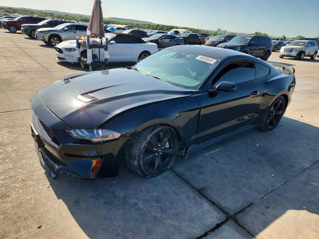 1FA6P8CF2N5144444 · 2022 FORD MUSTANG