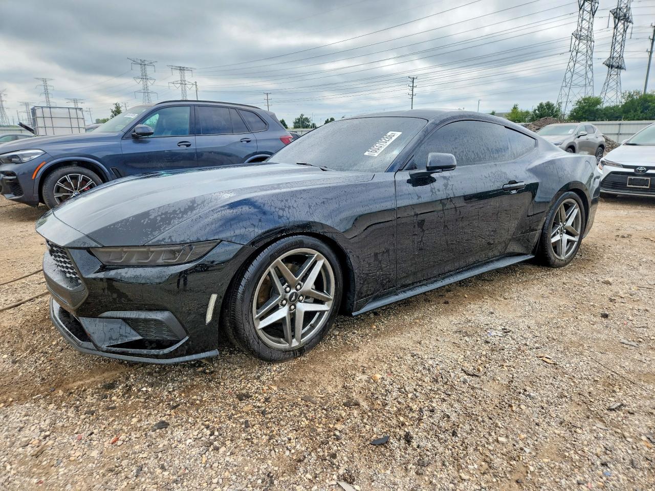 1FA6P8TH1S5132251 · 2025 FORD MUSTANG