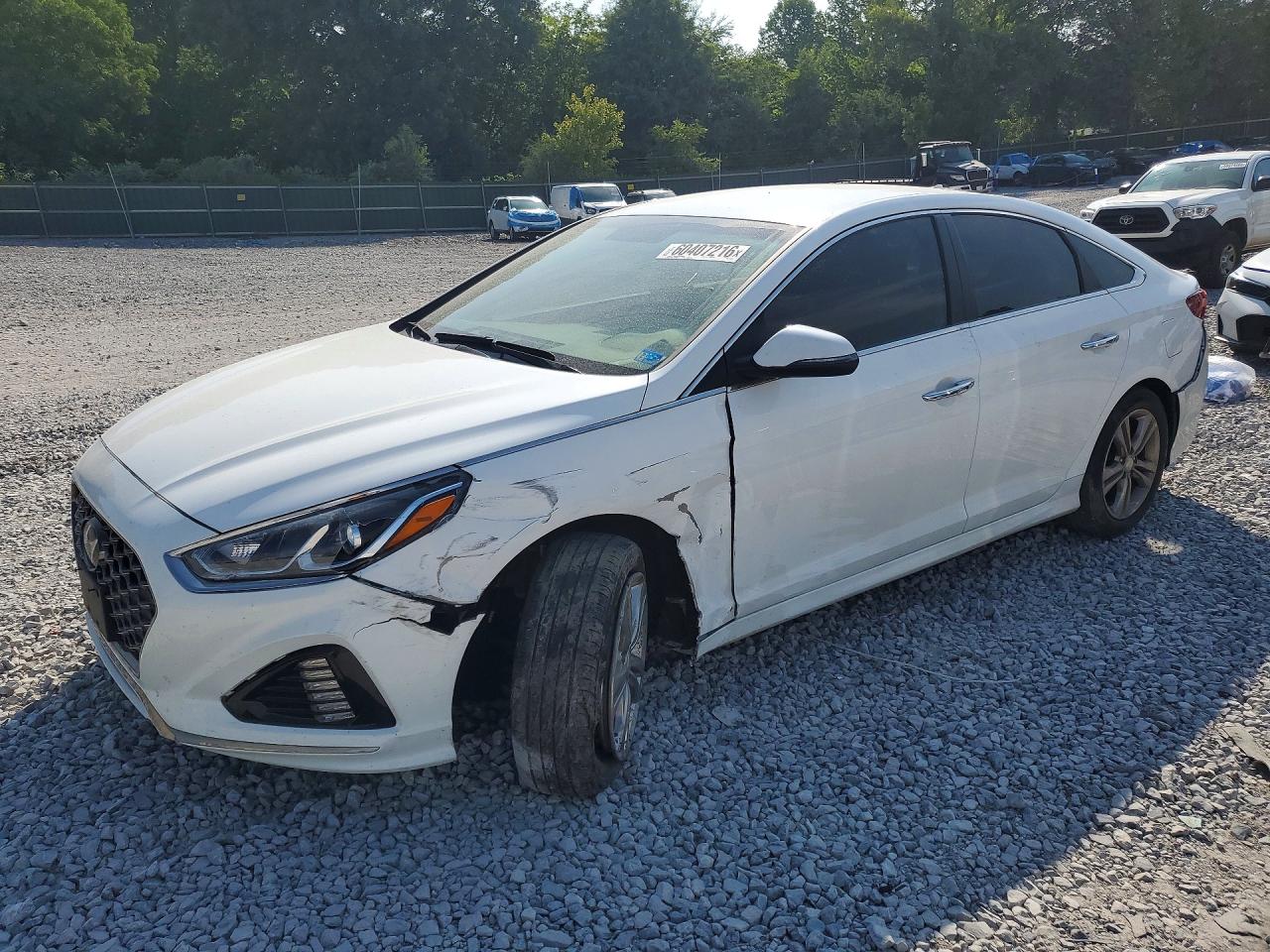 5NPE34AFXKH734528 · 2019 HYUNDAI SONATA