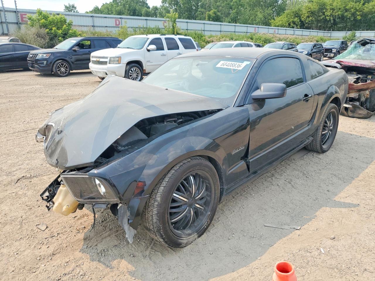 1ZVFT80N955206954 · 2005 FORD MUSTANG