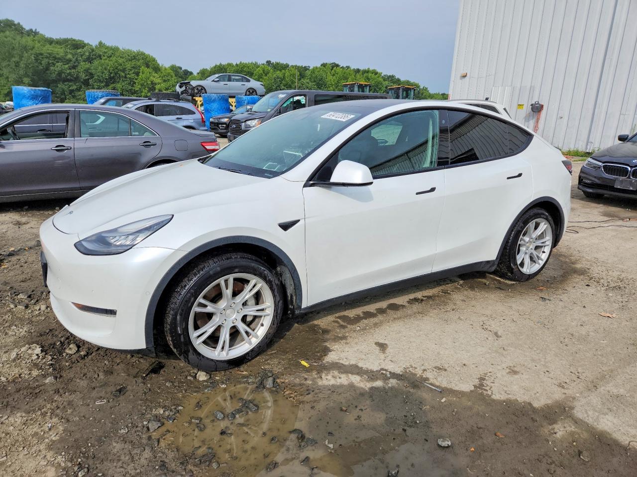 2020 TESLA MODEL Y
