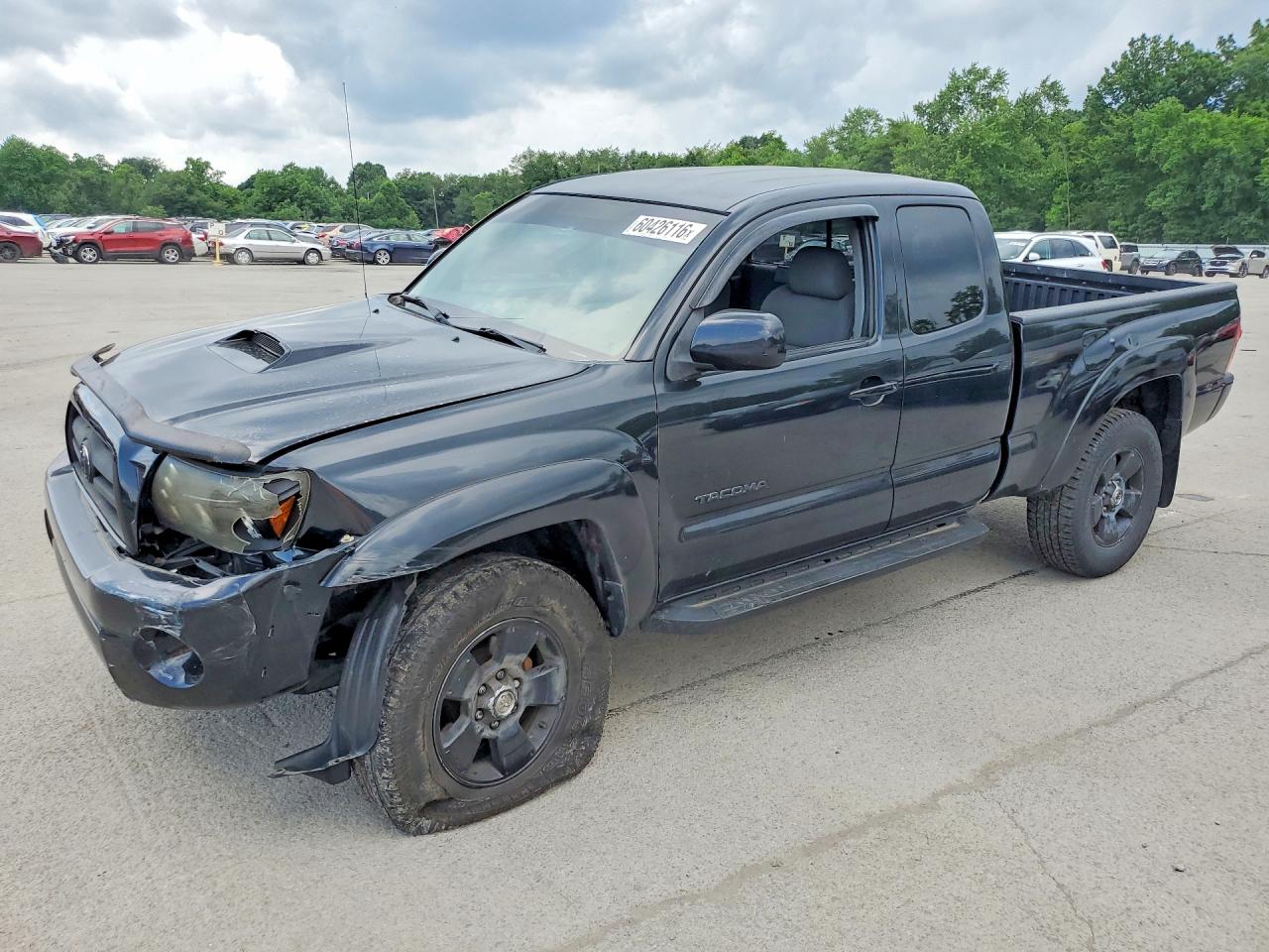 5TEUU42N55Z003988 · 2005 TOYOTA TACOMA