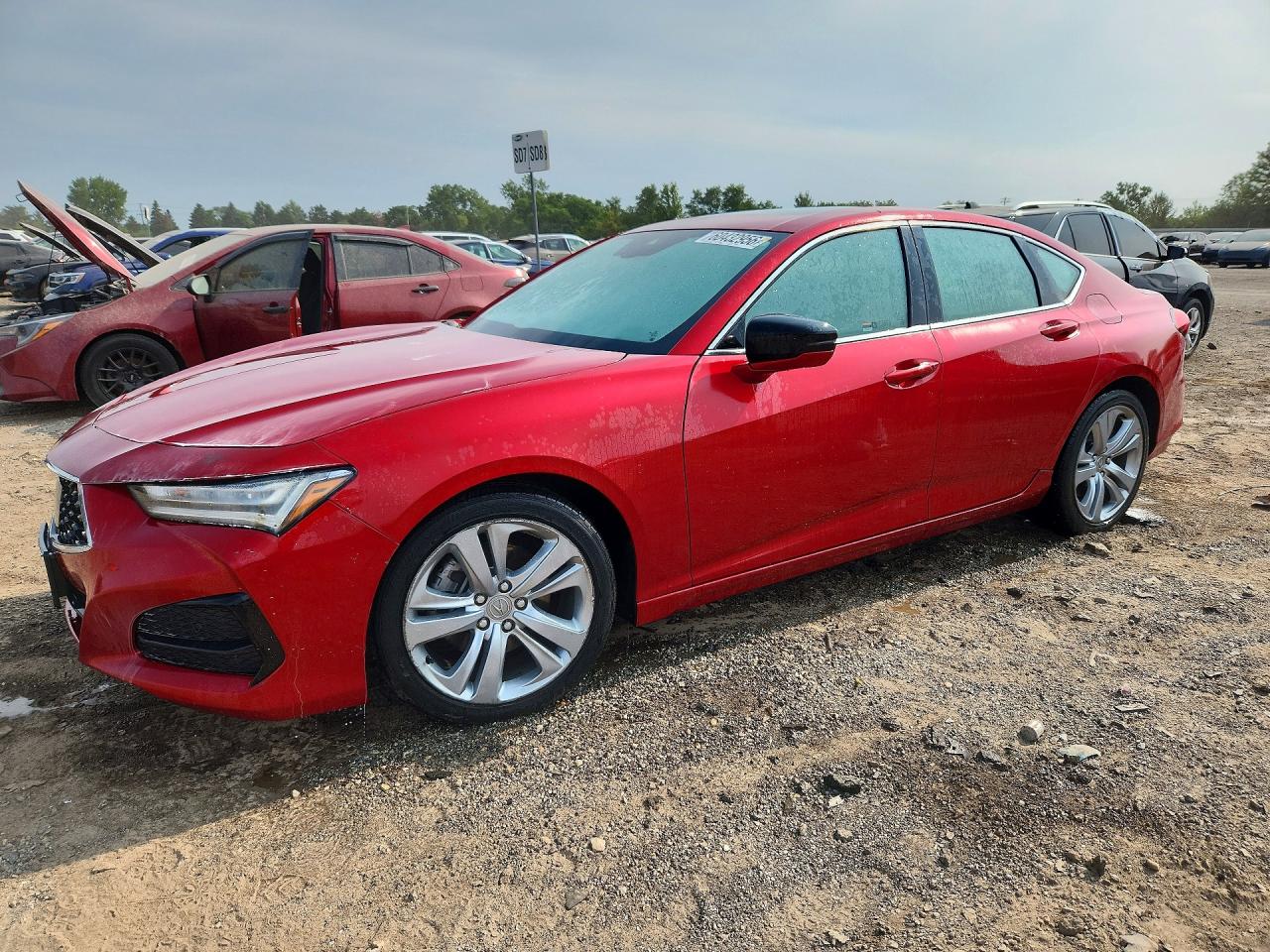 19UUB5F4XMA006621 · 2021 ACURA TLX