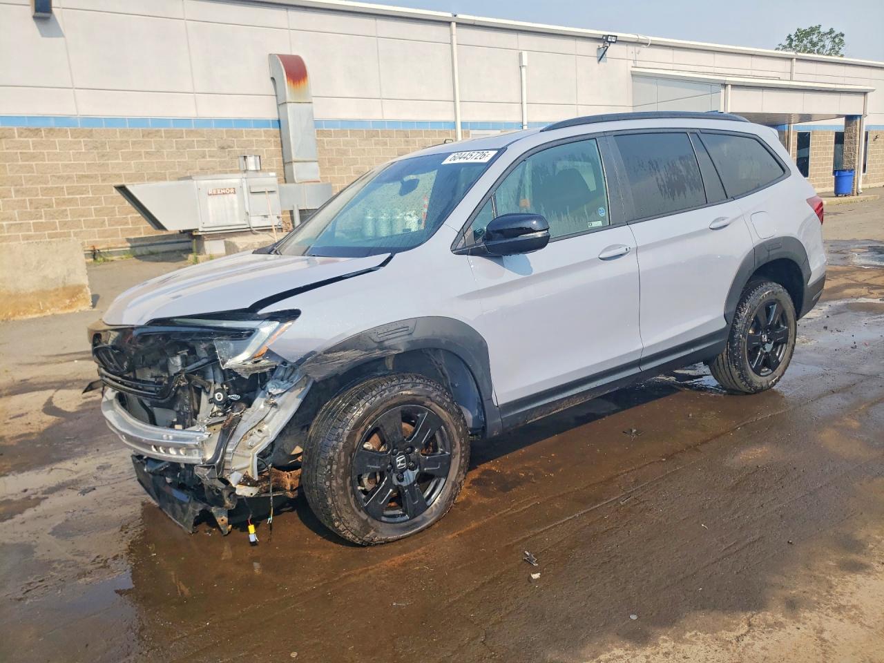 5FNYF6H81NB074132 · 2022 HONDA PILOT