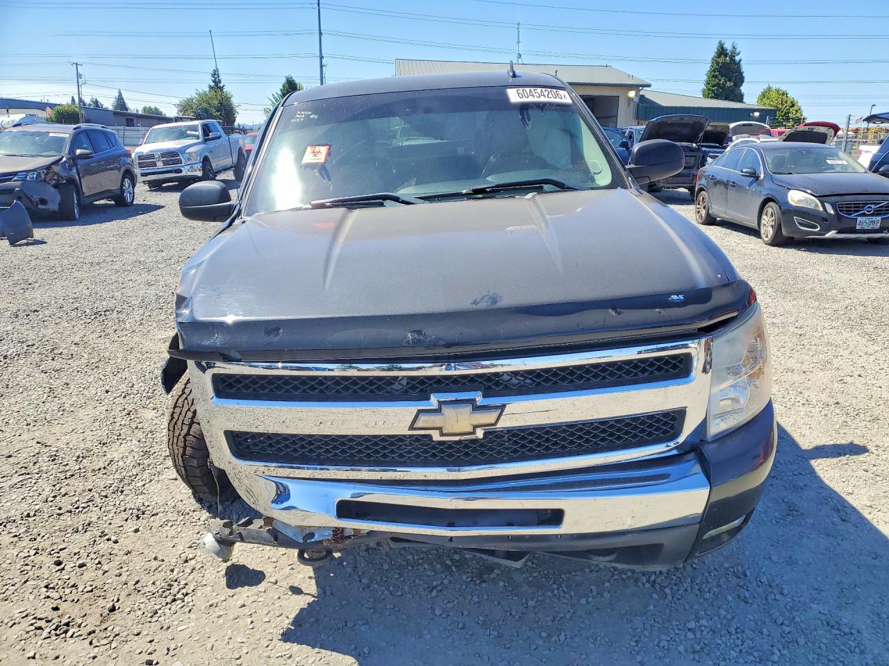 1GCEK29099Z290486 · 2009 CHEVROLET SILVERADO · 5/12