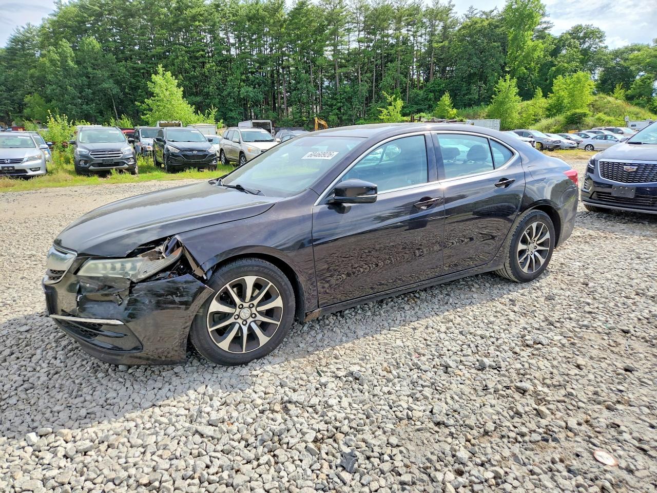 19UUB1F54FA001760 · 2015 ACURA TLX