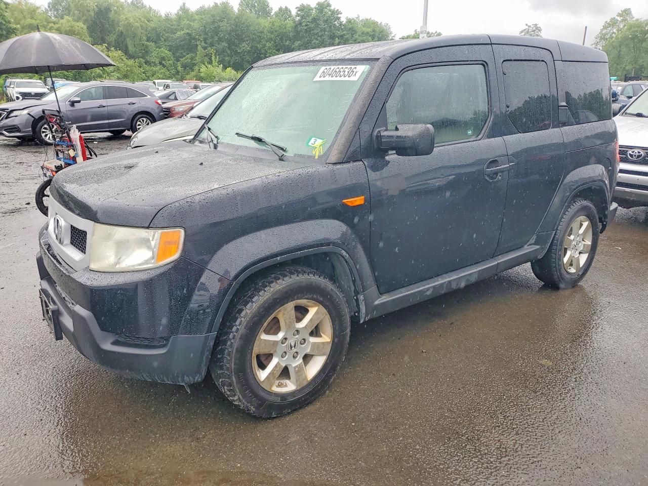 5J6YH28739L005126 · 2009 HONDA ELEMENT
