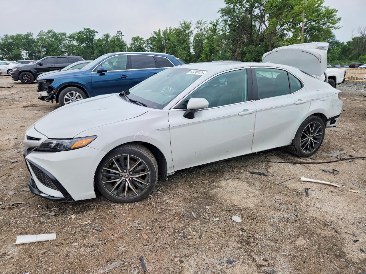 4T1G11AK0RU215493 · 2024 TOYOTA CAMRY