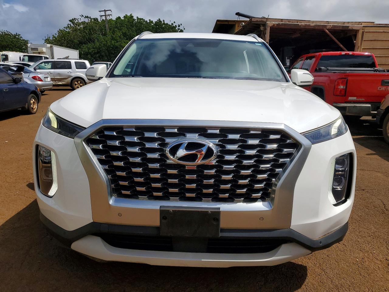 KM8R44HE4LU167599 · 2020 HYUNDAI PALISADE · 5/13
