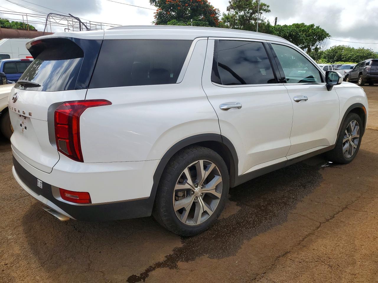 KM8R44HE4LU167599 · 2020 HYUNDAI PALISADE · 3/13