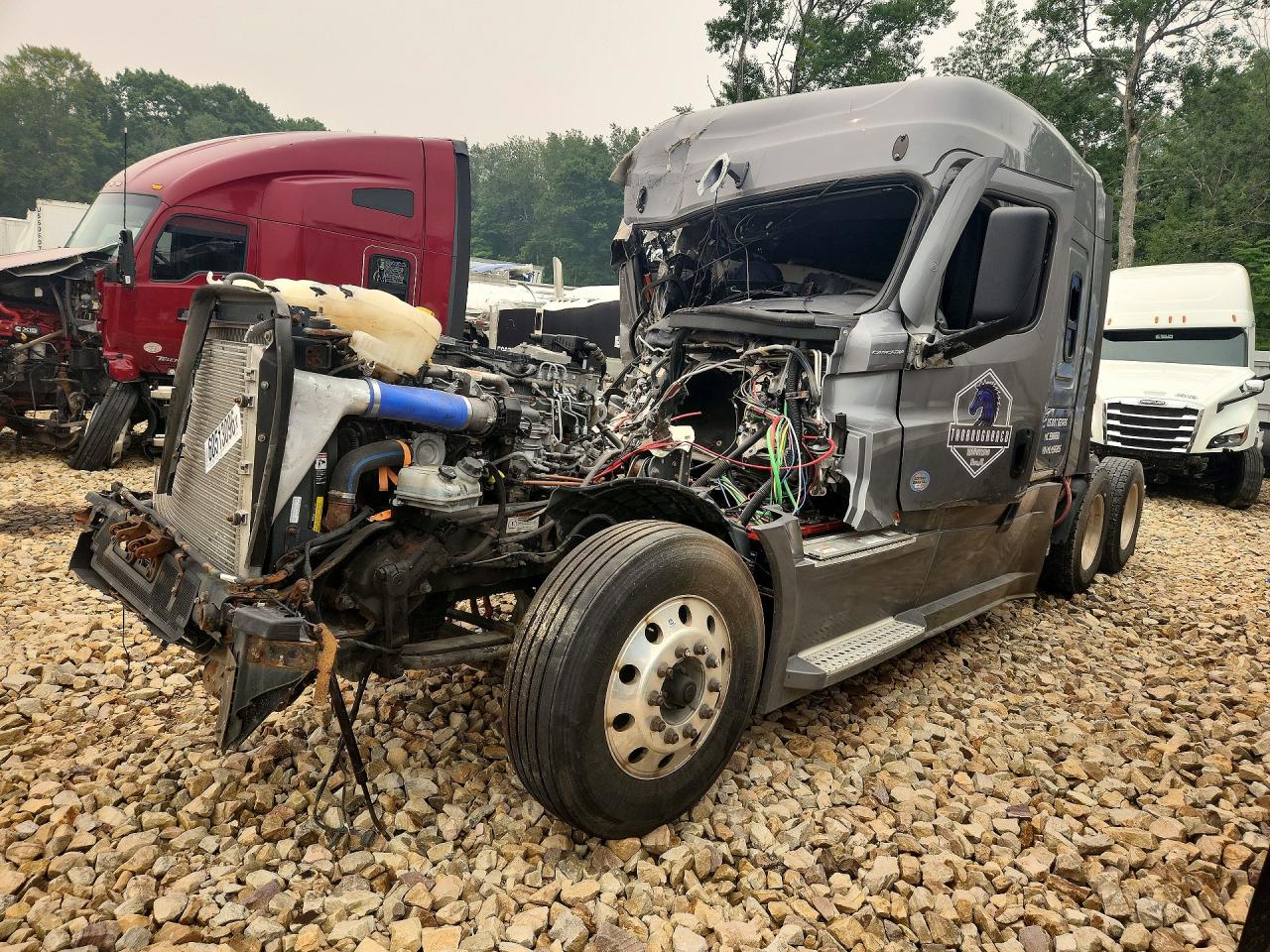 1FUJHHDR3MLMS6895 · 2021 FREIGHTLINER CASCADIA 126