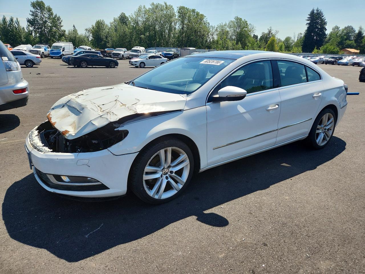 WVWRN7AN7DE504081 · 2013 VOLKSWAGEN CC