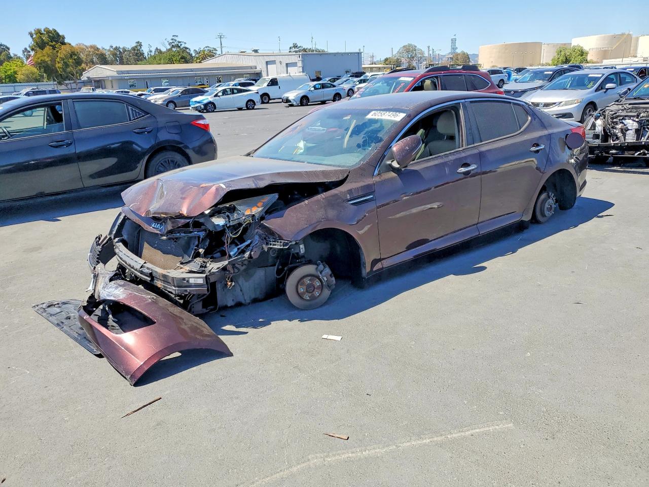 5XXGN4A76DG231265 · 2013 KIA OPTIMA