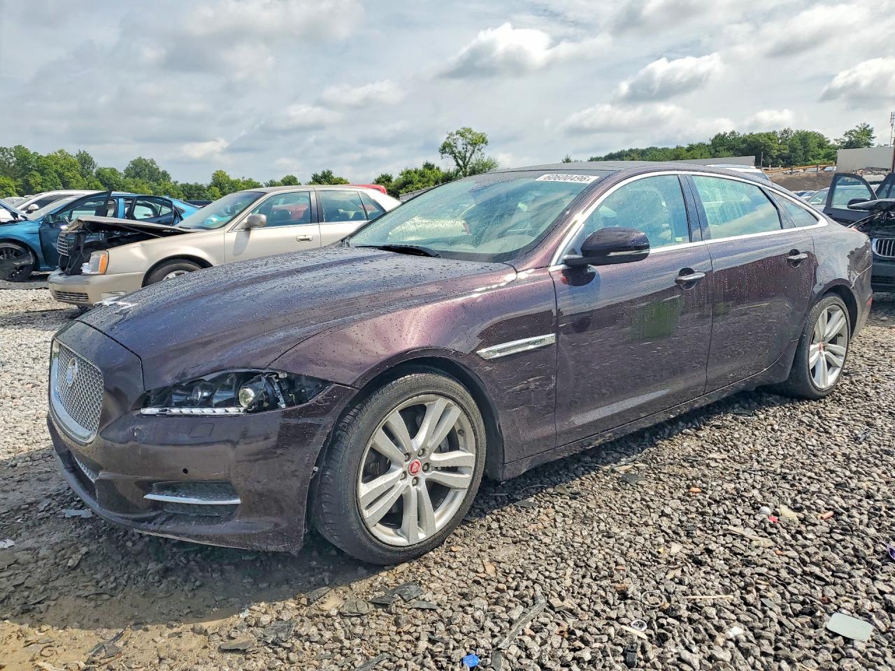 2015 JAGUAR XJL