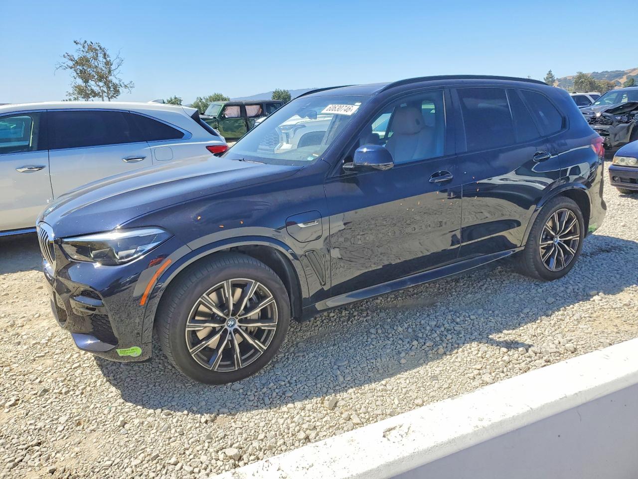 5UXTA6C01P9P60130 · 2023 BMW X5