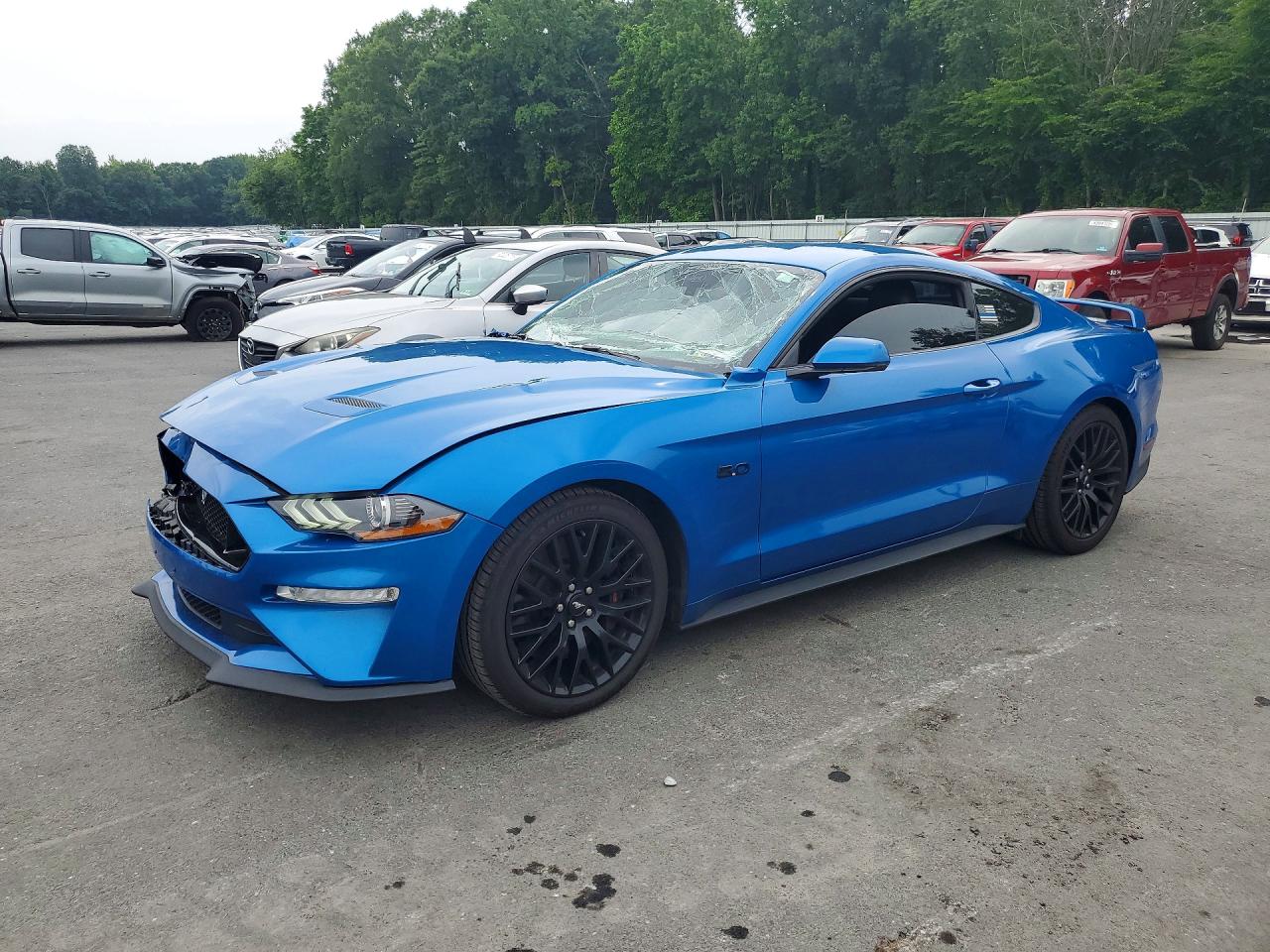 1FA6P8CFXK5142288 · 2019 FORD MUSTANG