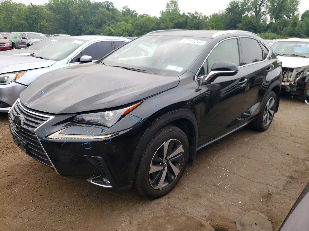 2019 LEXUS NX 300
