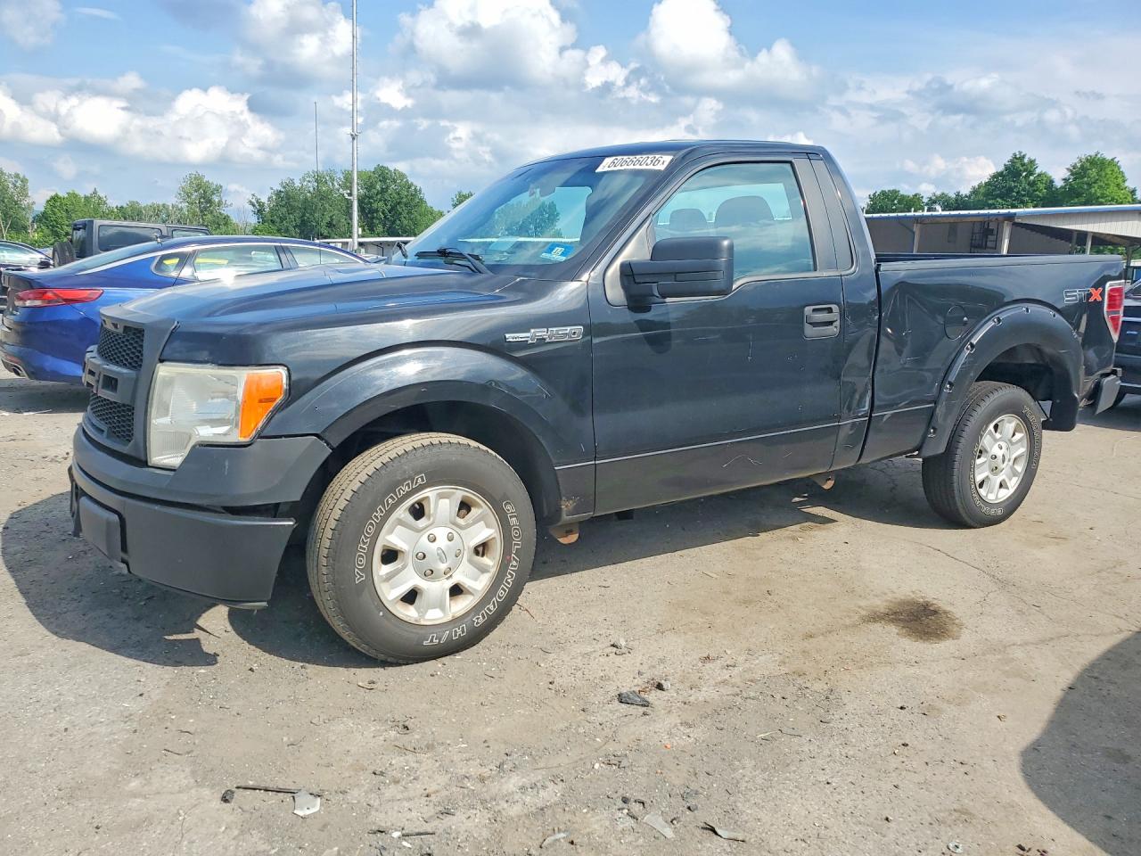 1FTMF1CM7DKD00052 · 2013 FORD F150