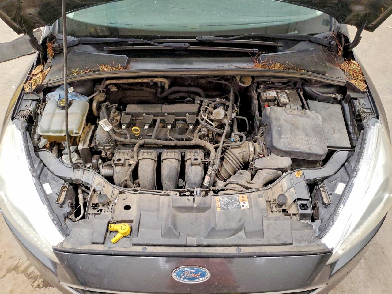 1FADP3K20GL363426 · 2016 FORD FOCUS · 12/13