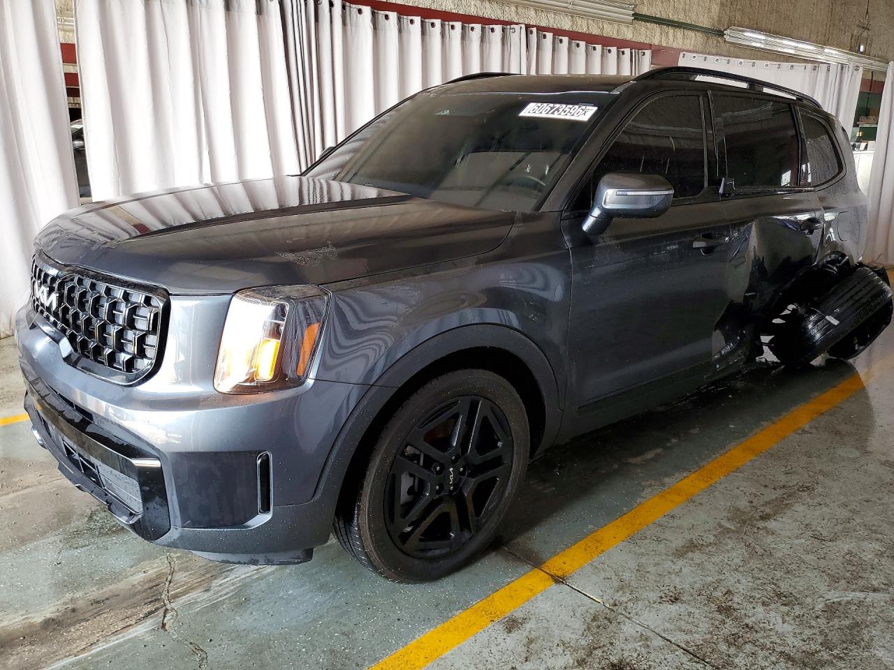 5XYP3DGC3RG501484 · 2024 KIA TELLURIDE