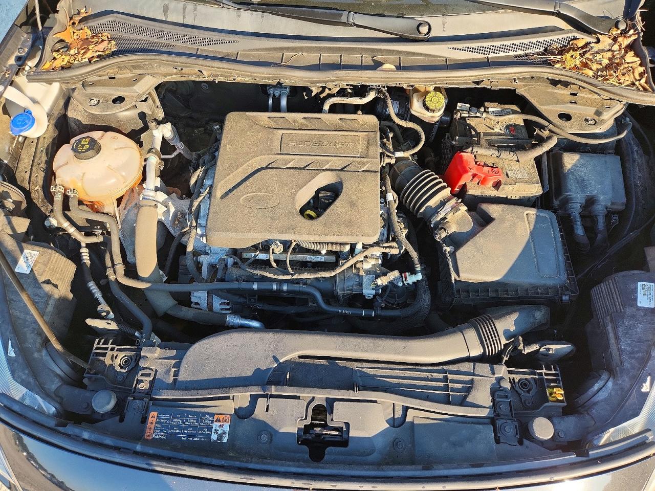 1FMCU9G61LUA44498 · 2020 FORD ESCAPE · 11/12