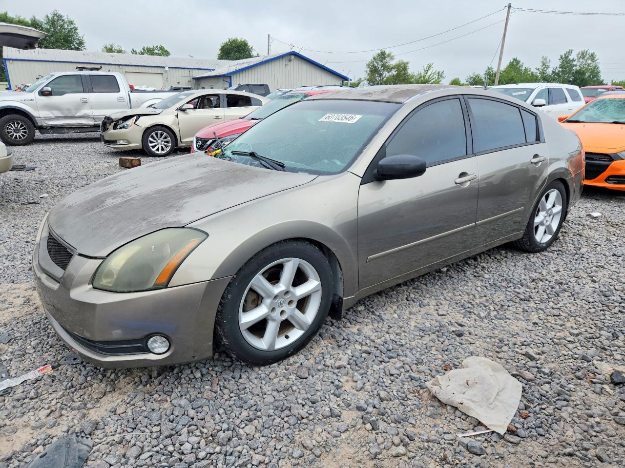 1N4BA41E46C860018 · 2006 NISSAN MAXIMA