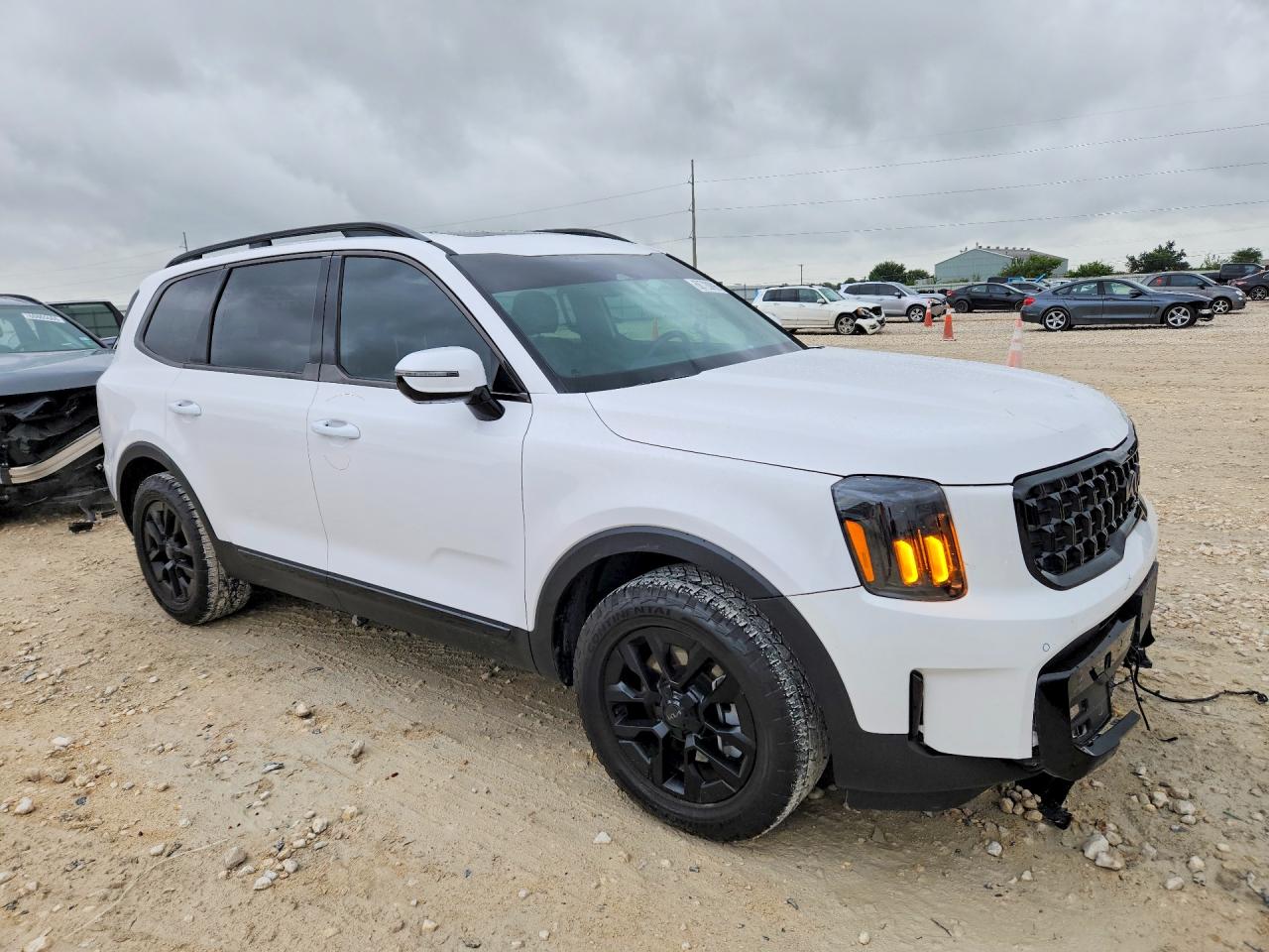 5XYP5DGC2SG633121 · 2025 KIA TELLURIDE · 4/13