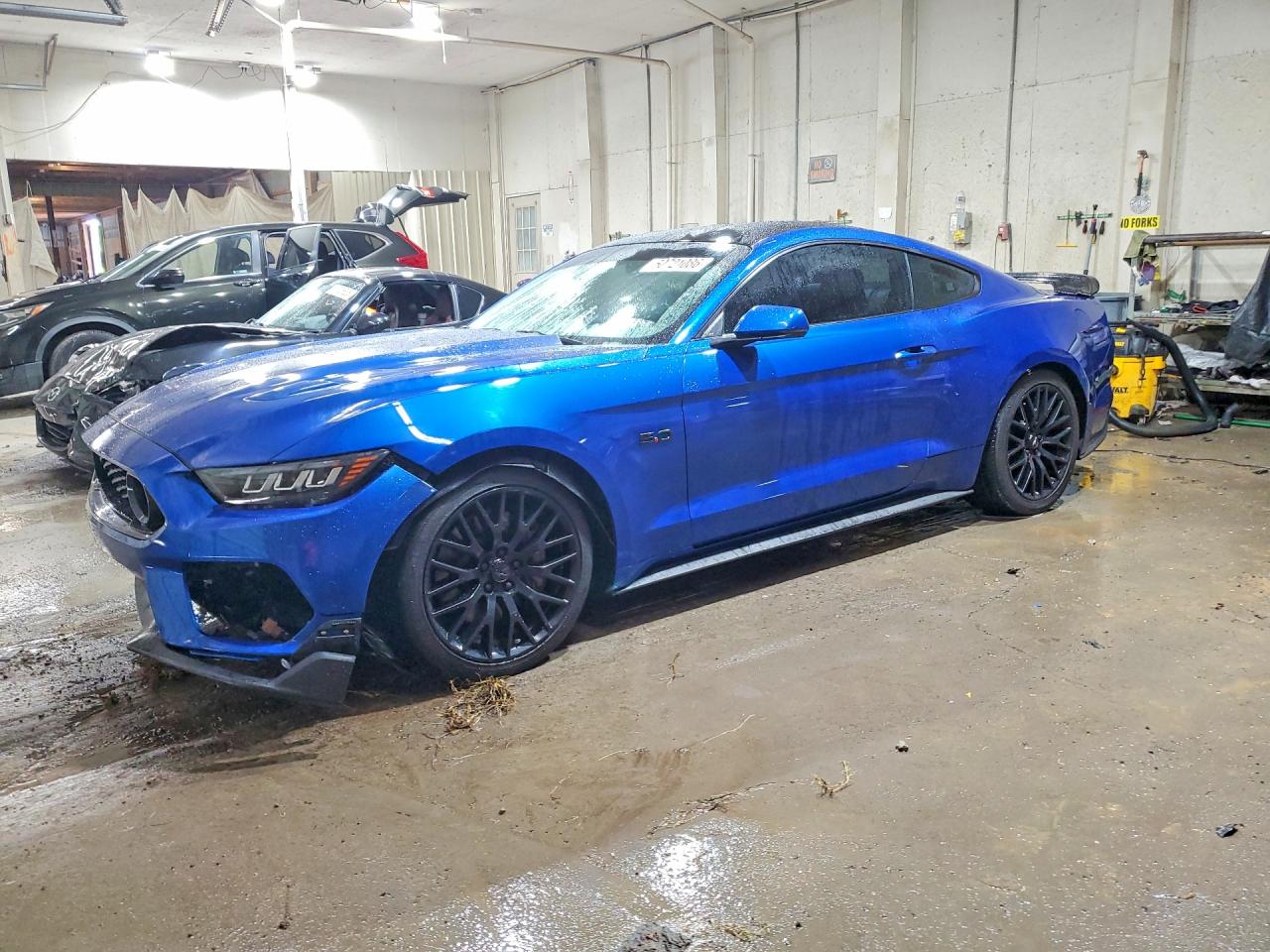 1FA6P8CF8H5309188 · 2017 FORD MUSTANG