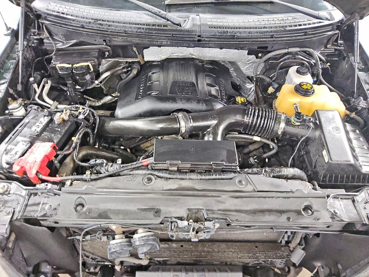 1FTFX1ET7CFC46981 · 2012 FORD F150 · 11/12
