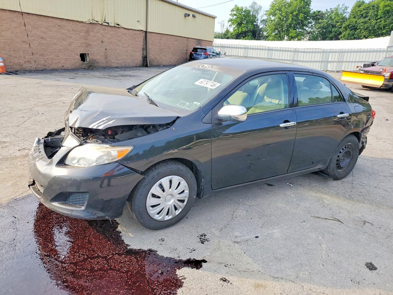 2T1BU40E19C046312 · 2009 TOYOTA COROLLA