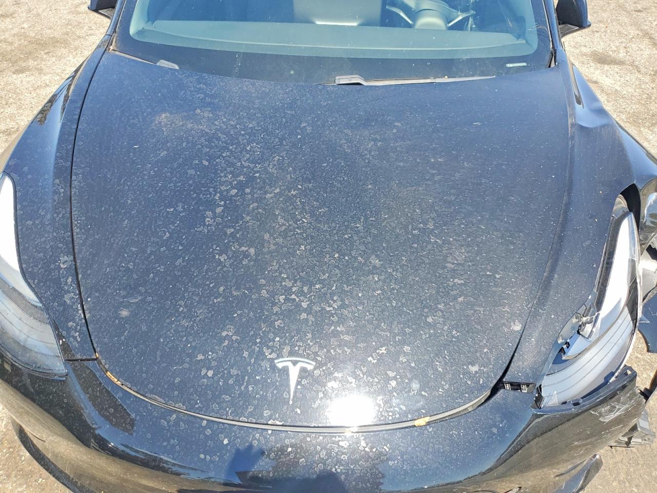 5YJ3E1EA7MF074710 · 2021 TESLA MODEL 3 · 11/12